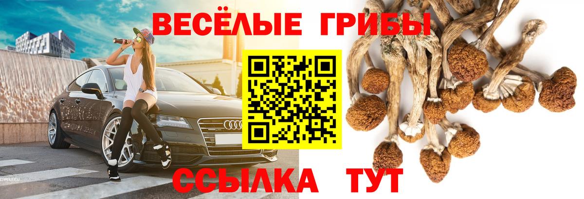 Галлюциногенные грибы Psilocybe Корсаков